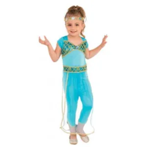 Arabian Princess Costume Size S
