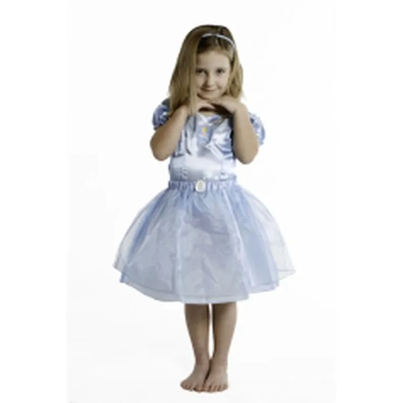 Cinderella Tutu & Vest