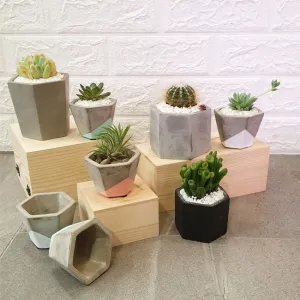 Concrete Pots series I