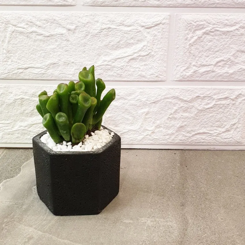 Concrete Pots series I