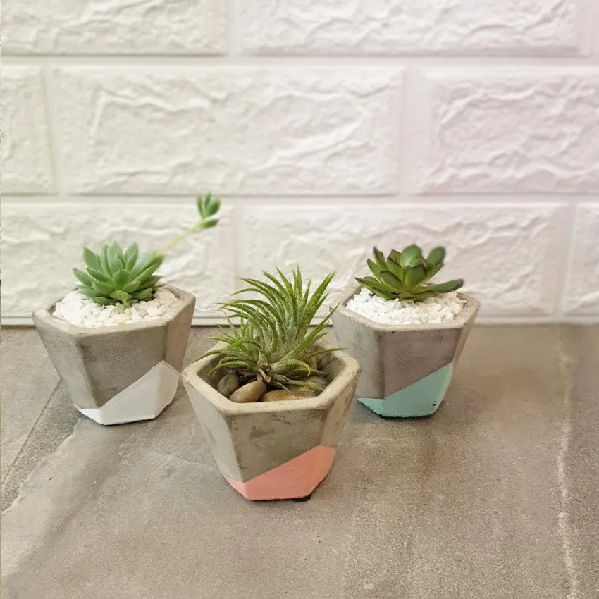 Concrete Pots series I