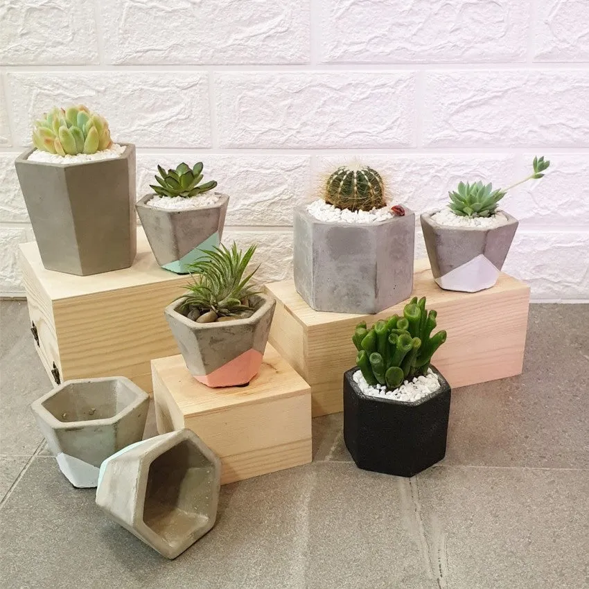 Concrete Pots series I