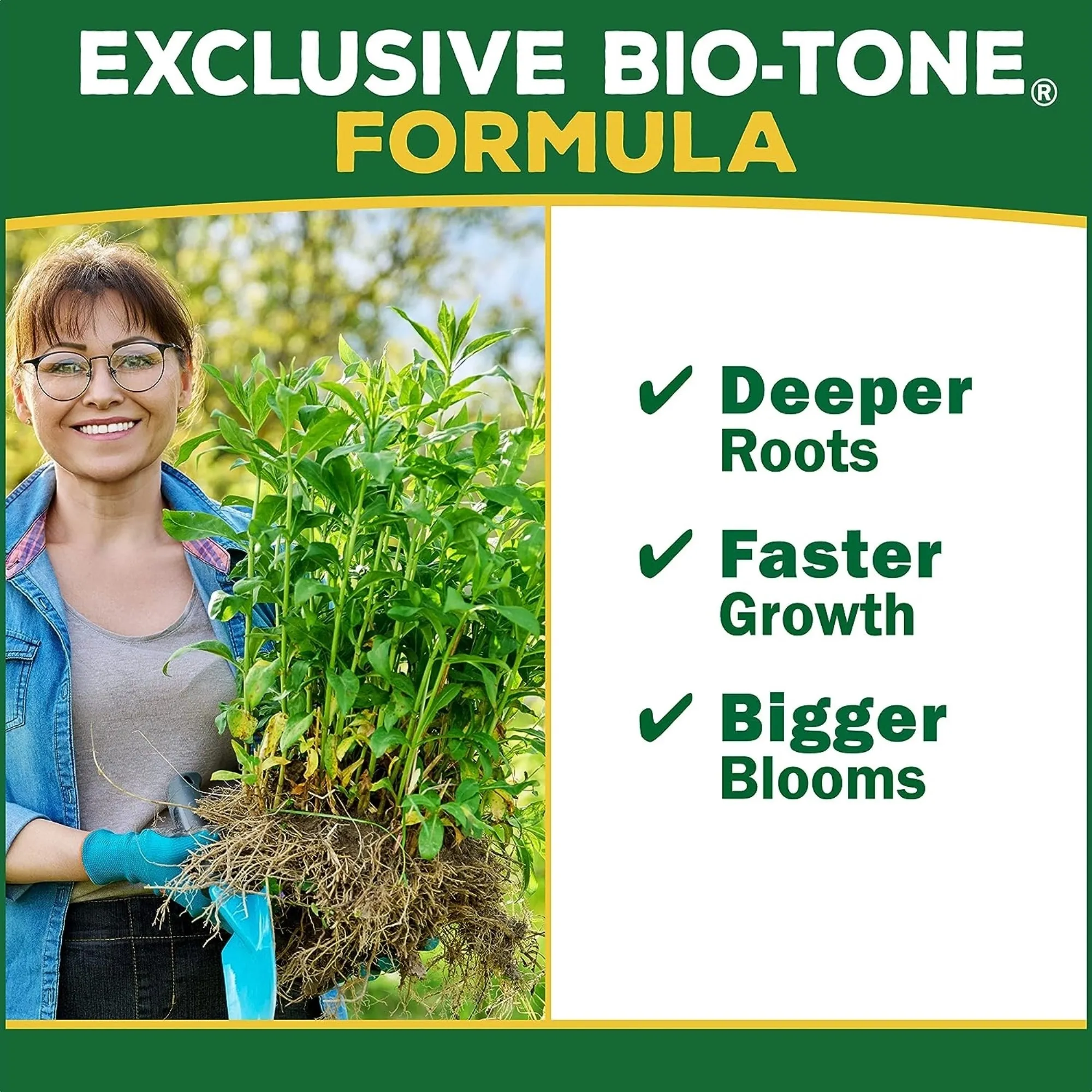 Espoma Palm-Tone (4 Lb)