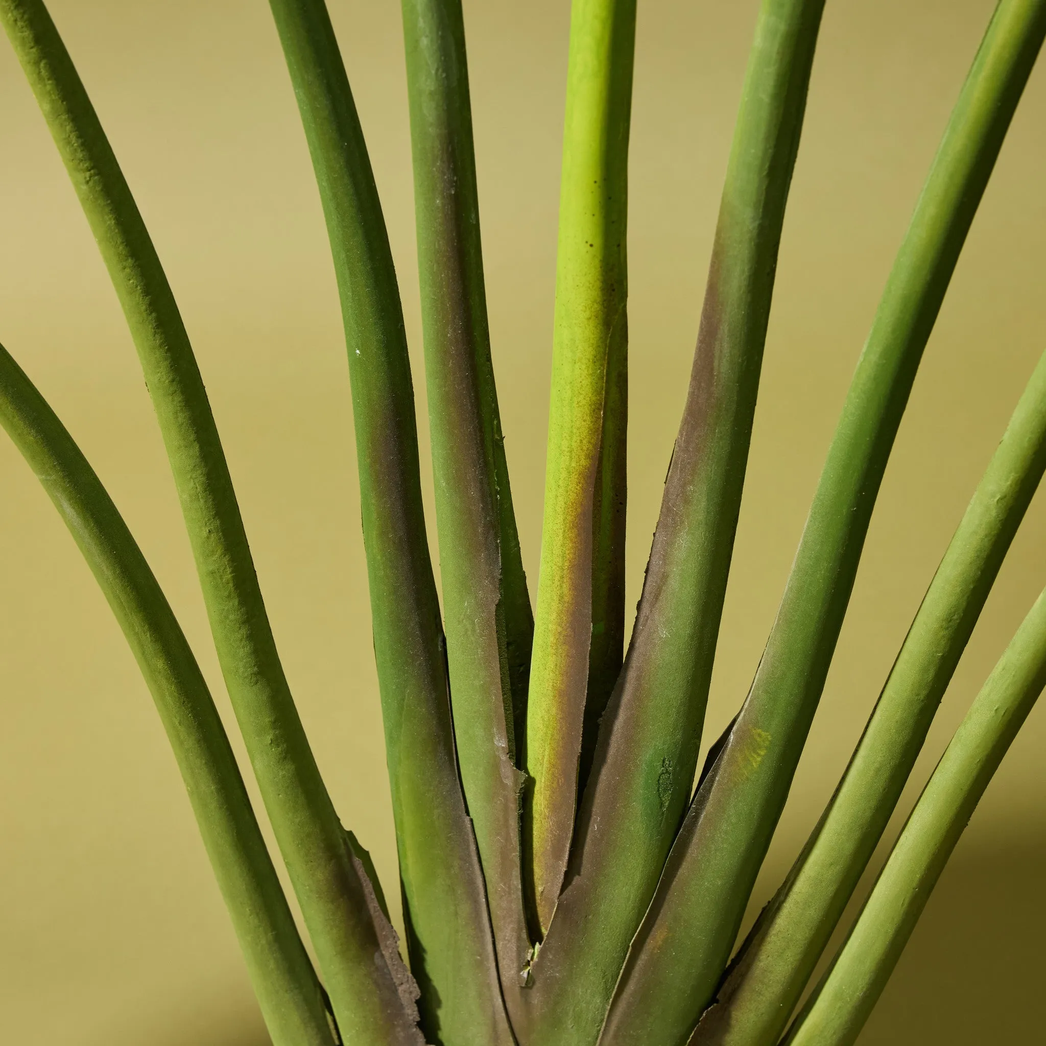 Faux Travellers Palm | 190cm