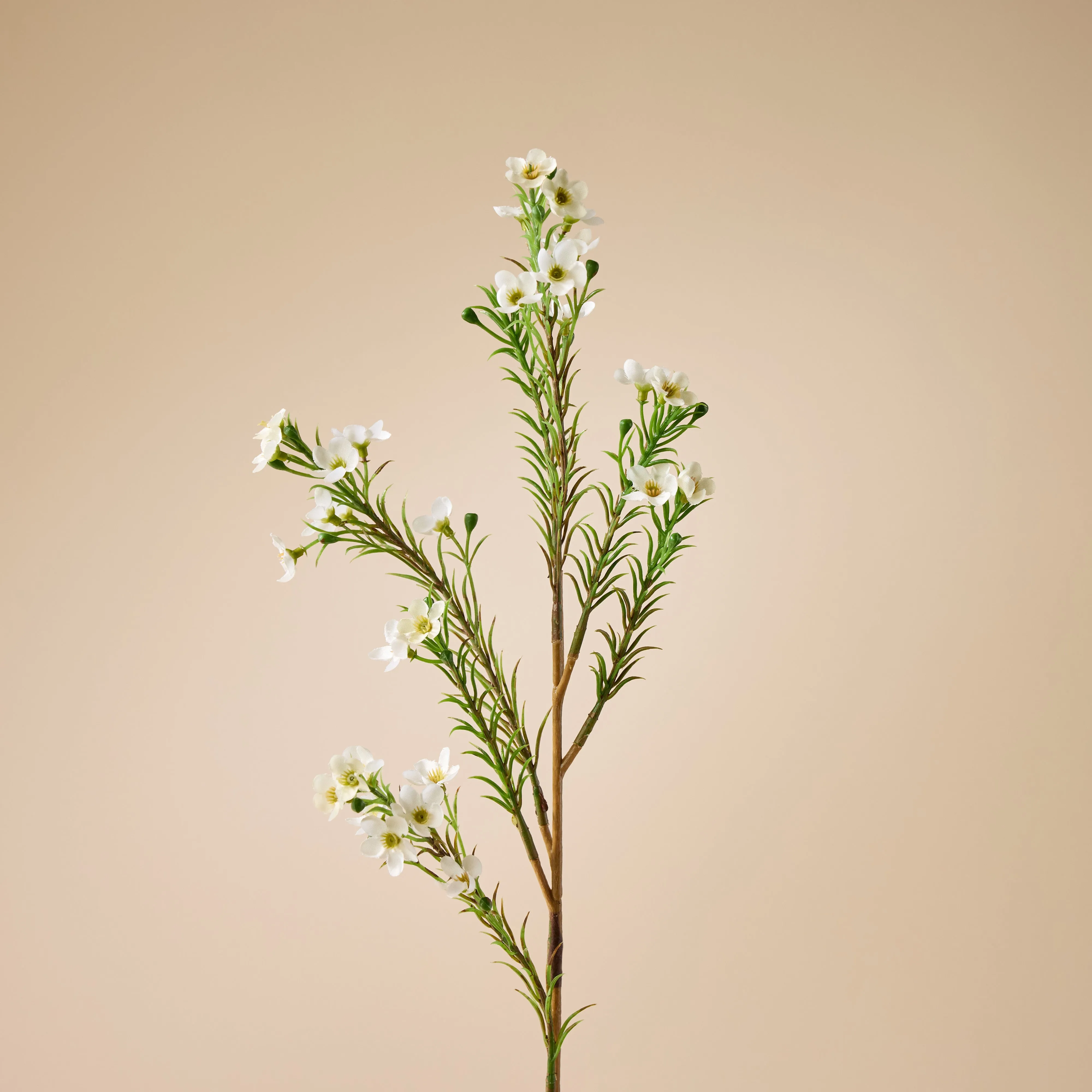 Faux Wax Flower Spray | White - 65cm
