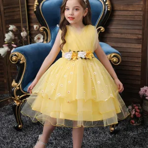 Flower Embroidered Tutu Dress for Baby Girls