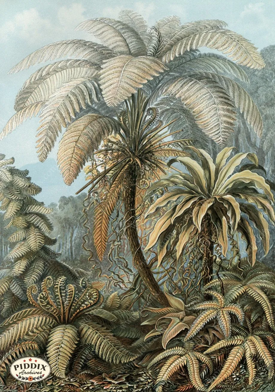 PDXC3184 -- Palm Trees