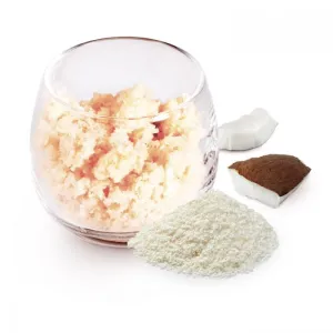 PreGel - Coconut Flavor Paste (2 x 5kg Case)