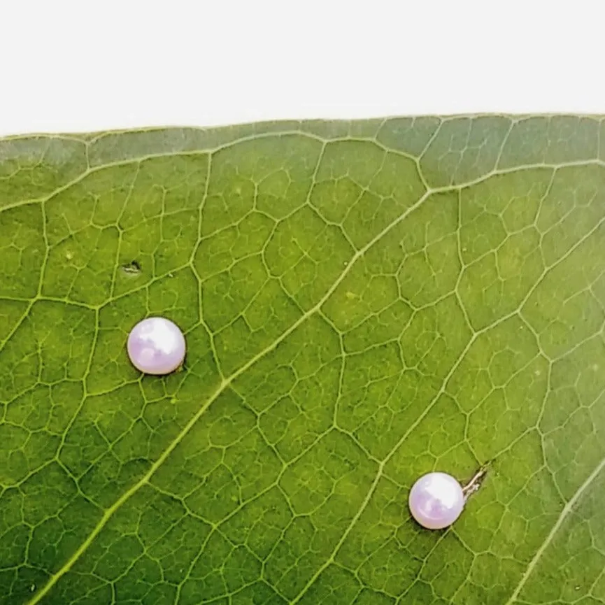 "Classic" 2-3mm (TINY) Micro-stud Earrings - Pearls, Sterling