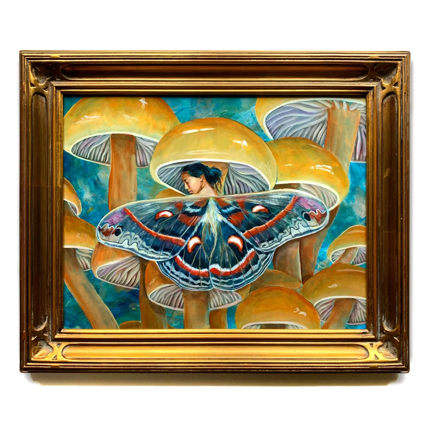 "Hyalophora Cecropia" Fairy Painting 11x14