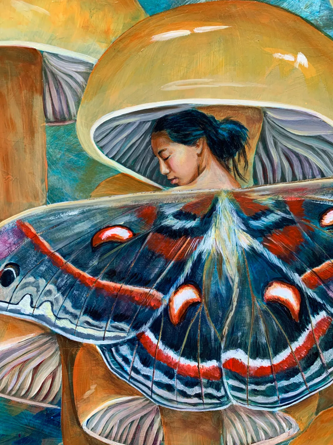 "Hyalophora Cecropia" Fairy Painting 11x14