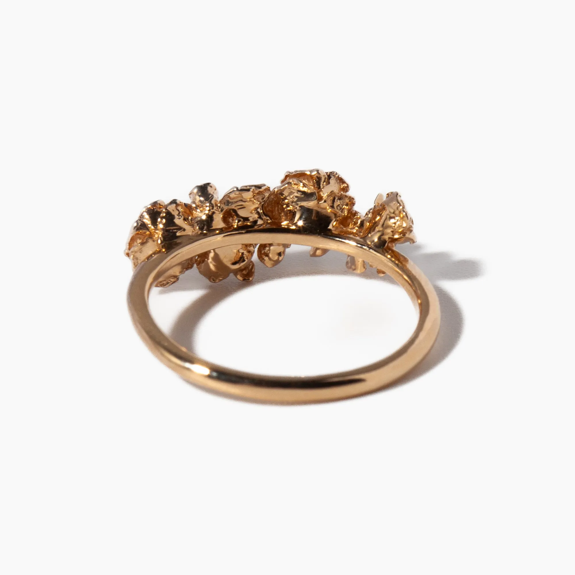 Roses & Hidden Fairy on Eos Garden Ring