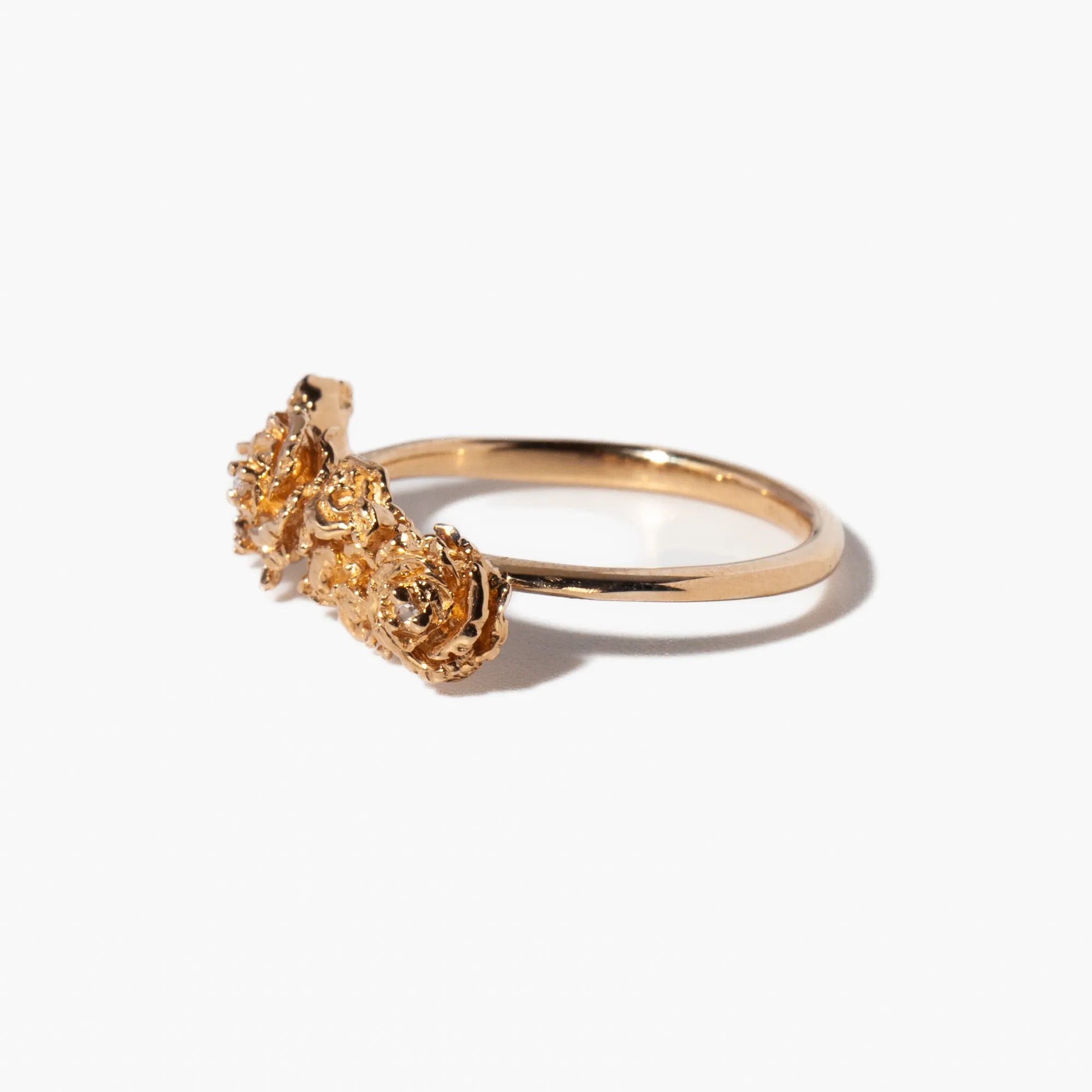 Roses & Hidden Fairy on Eos Garden Ring