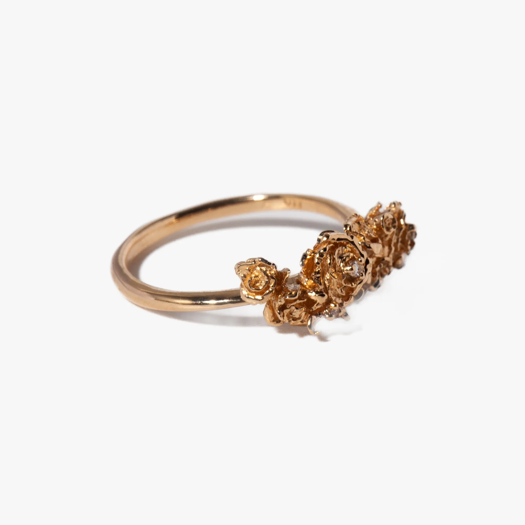 Roses & Hidden Fairy on Eos Garden Ring