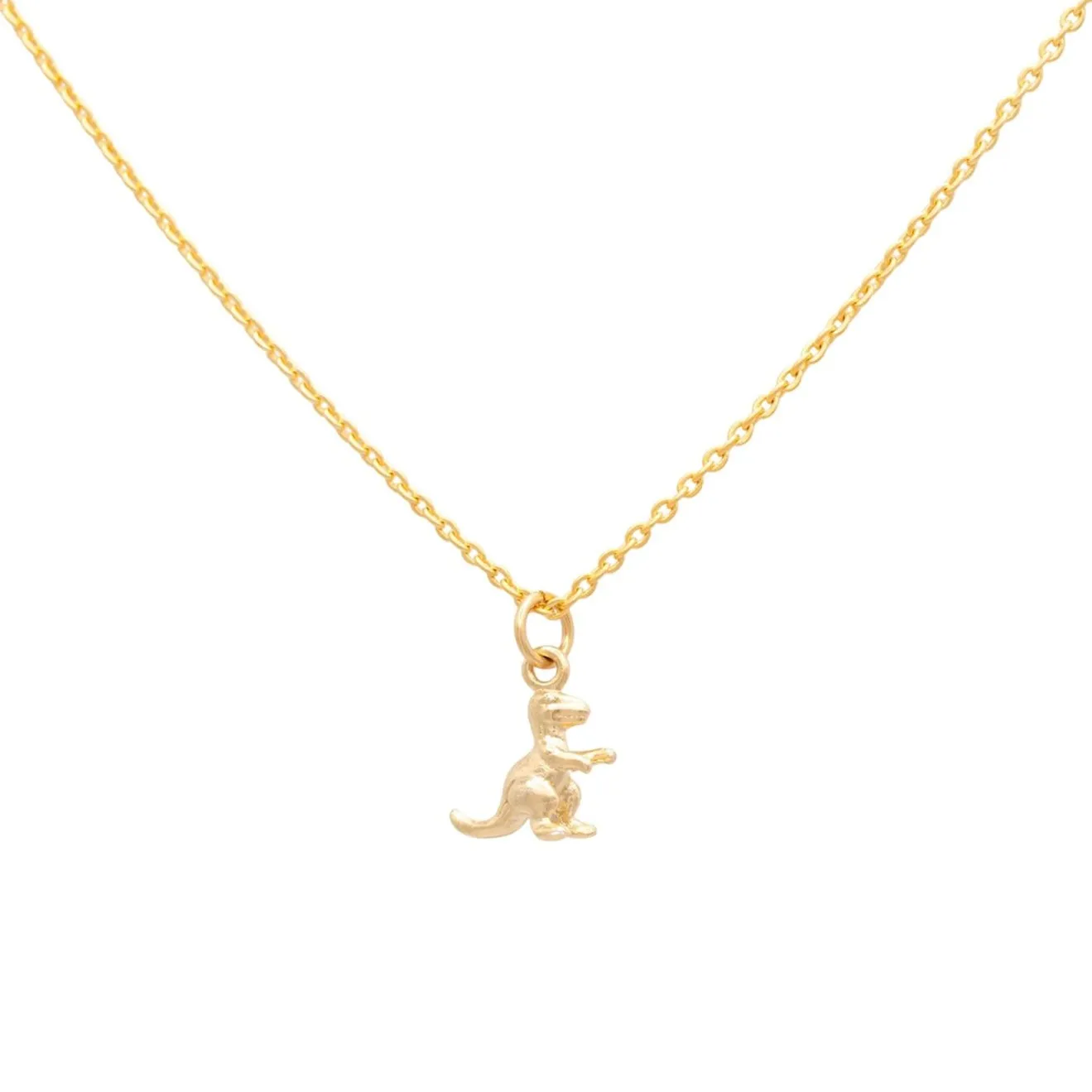 T Rex Dinosaur Charm Necklace