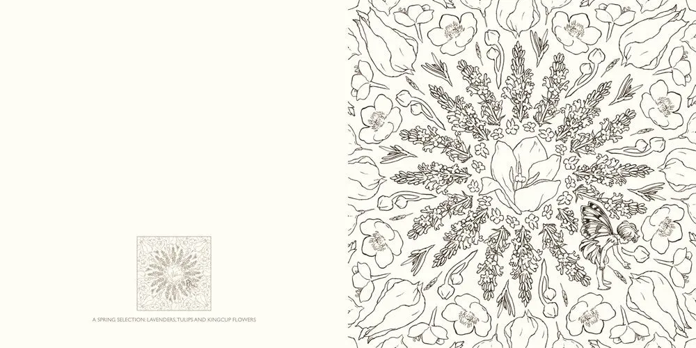 The Flower Fairies Coloring Book