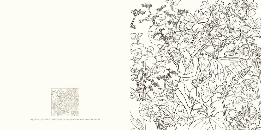 The Flower Fairies Coloring Book