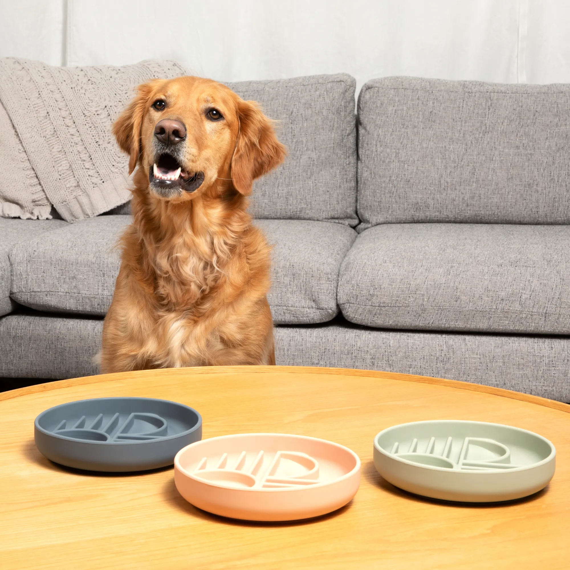 The Sunset Bowl: Slow Feeder & Lick Mat