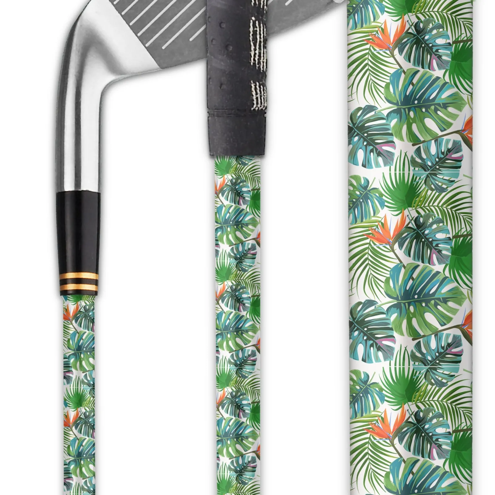 Tropical Leaves