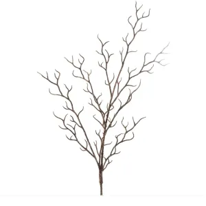 Twig Branch