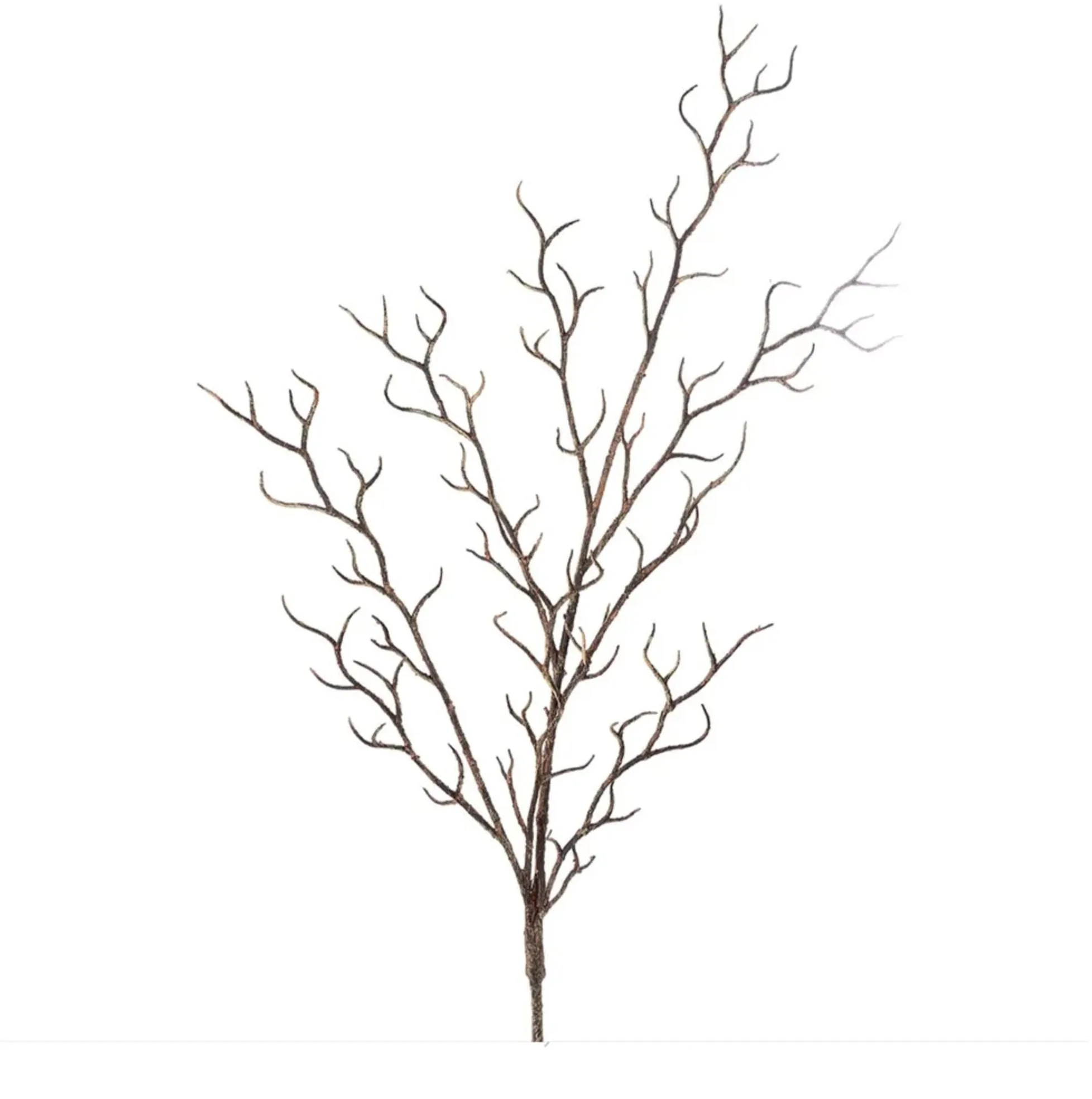 Twig Branch