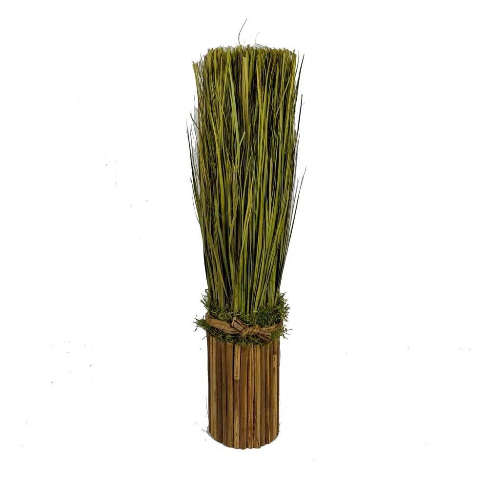 Wheat Grass In Planter