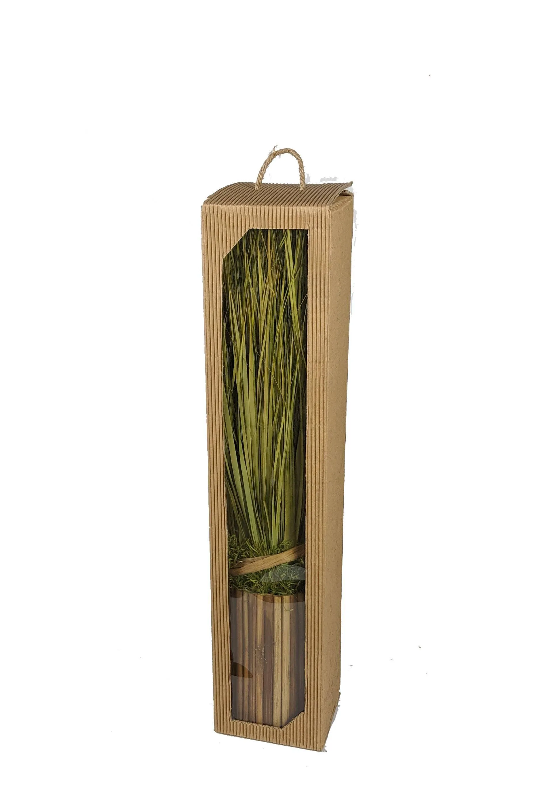 Wheat Grass In Planter
